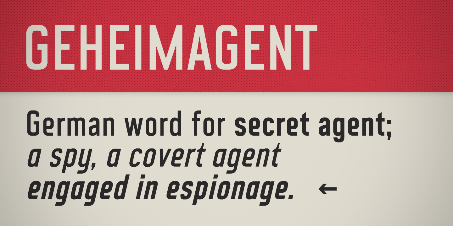 Example of CA Geheimagent